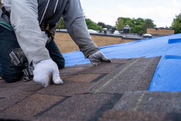 Best Tile Roofing Contractor  in University Heights, IA
