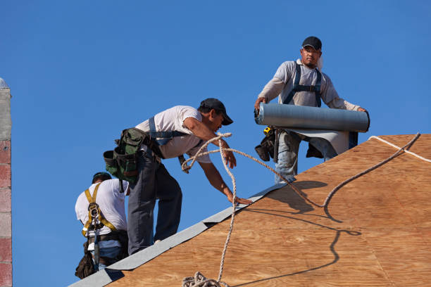 Best Storm Damage Roof Repair  in University Heights, IA